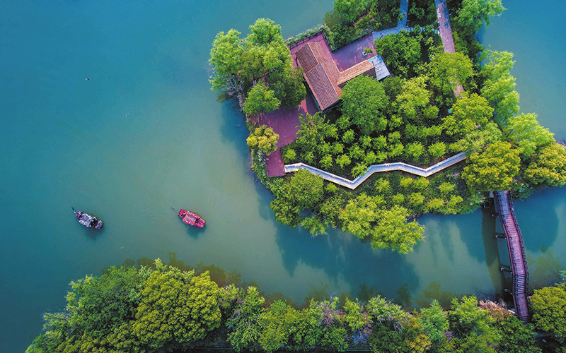 夏日湿地好风光